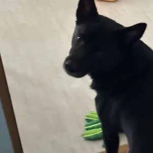 베스트 후기 이미지