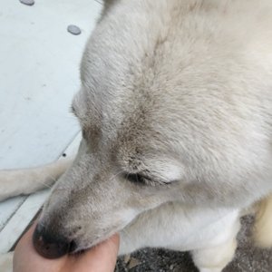 베스트 후기 이미지