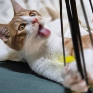 베스트 후기 이미지
