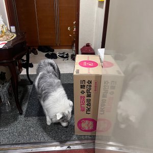 베스트 후기 이미지