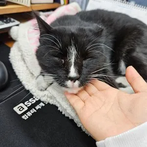 베스트 후기 이미지