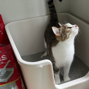 베스트 후기 이미지