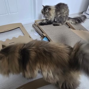베스트 후기 이미지