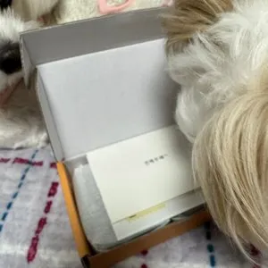 베스트 후기 이미지