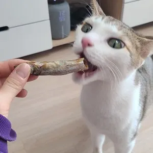 베스트 후기 이미지