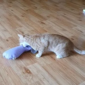 베스트 후기 이미지