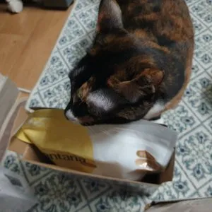 베스트 후기 이미지