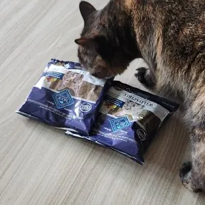 베스트 후기 이미지