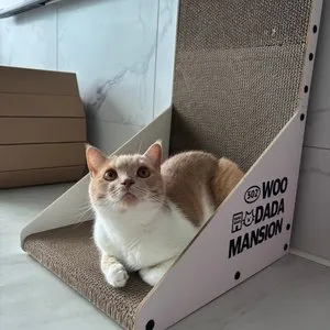 베스트 후기 이미지