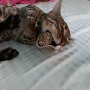 베스트 후기 이미지