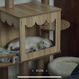 베스트 후기 이미지
