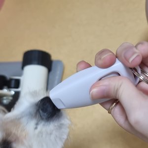 베스트 후기 이미지