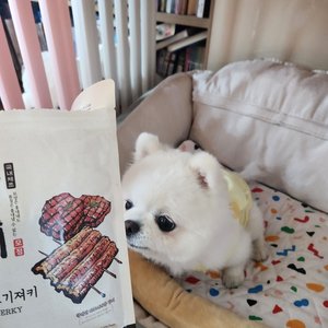 베스트 후기 이미지
