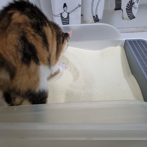 베스트 후기 이미지