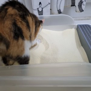 써스테이너블리 유얼스 멀티캣 플러스 (가는입자) 11.8kg 베스트 후기 이미지