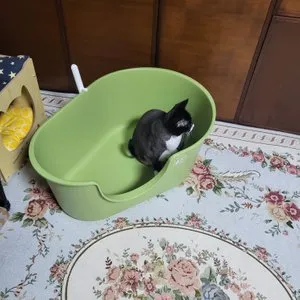 베스트 후기 이미지