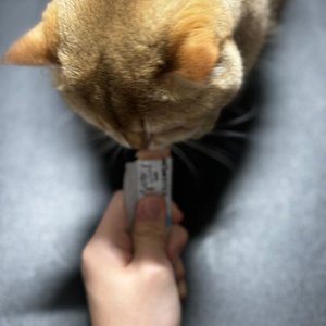 베스트 후기 이미지