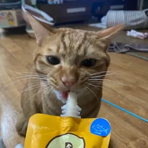 베스트 후기 이미지