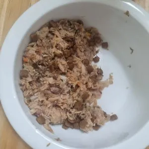 베스트 후기 이미지