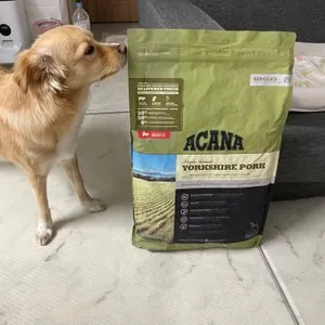 베스트 후기 이미지