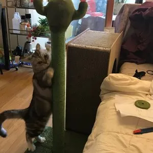 베스트 후기 이미지