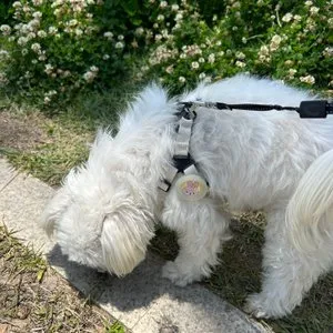 베스트 후기 이미지