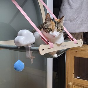 베스트 후기 이미지