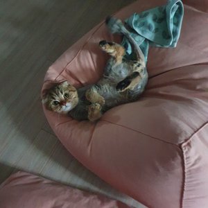 베스트 후기 이미지