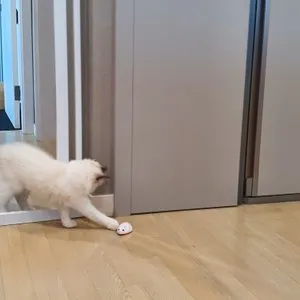 베스트 후기 이미지