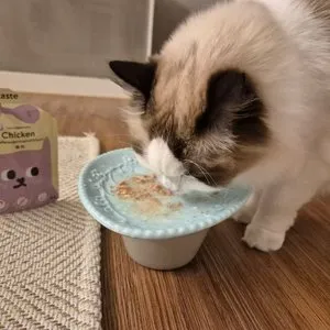 베스트 후기 이미지