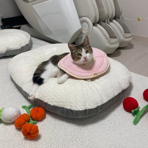 베스트 후기 이미지