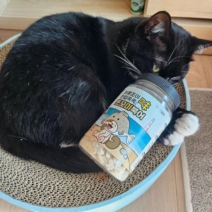 펫생각 독 간식 한입쏙쏙 대용량 노즈워크 훈련용 간식 북어 트릿 55g 베스트 후기 이미지