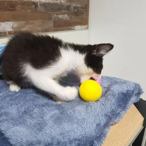 베스트 후기 이미지