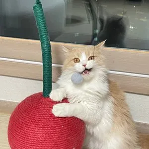 베스트 후기 이미지