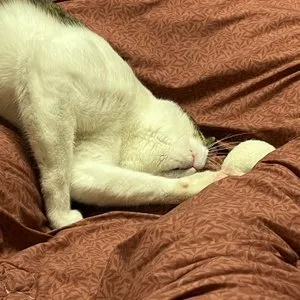 베스트 후기 이미지