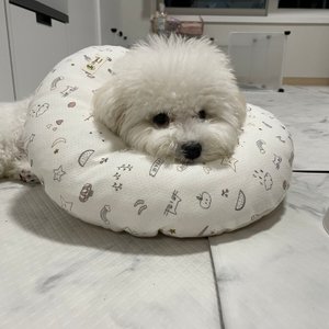 베스트 후기 이미지