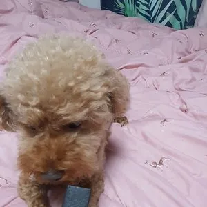 베스트 후기 이미지