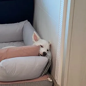 베스트 후기 이미지