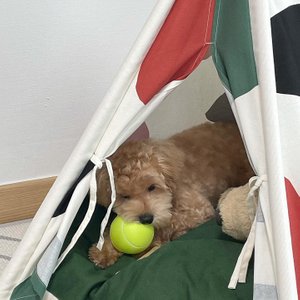 베스트 후기 이미지