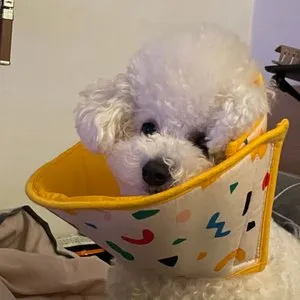 베스트 후기 이미지