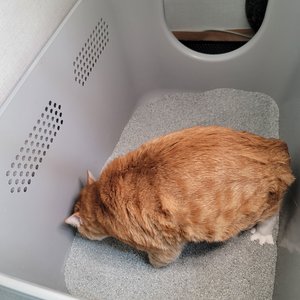 베스트 후기 이미지