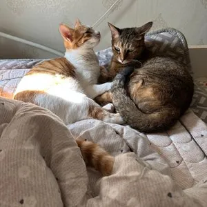 베스트 후기 이미지