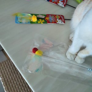 베스트 후기 이미지