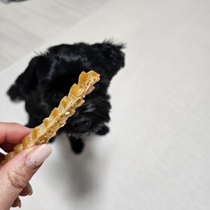 베스트 후기 이미지