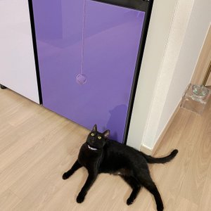 베스트 후기 이미지