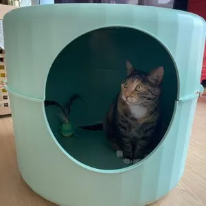 베스트 후기 이미지