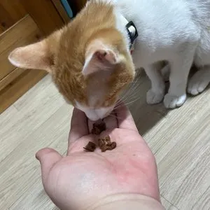 베스트 후기 이미지