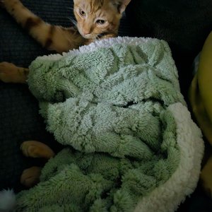베스트 후기 이미지