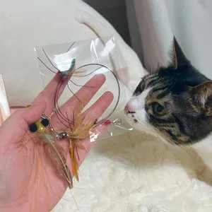 베스트 후기 이미지