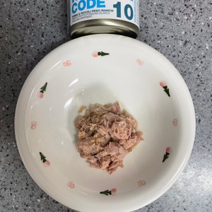 베스트 후기 이미지